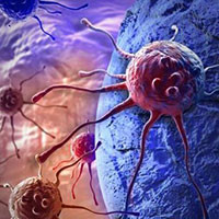 Anti-infective, Systemic