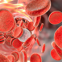 Blood & Blood forming Organs