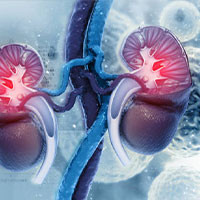 Genito-Urinary & Sex Hormones